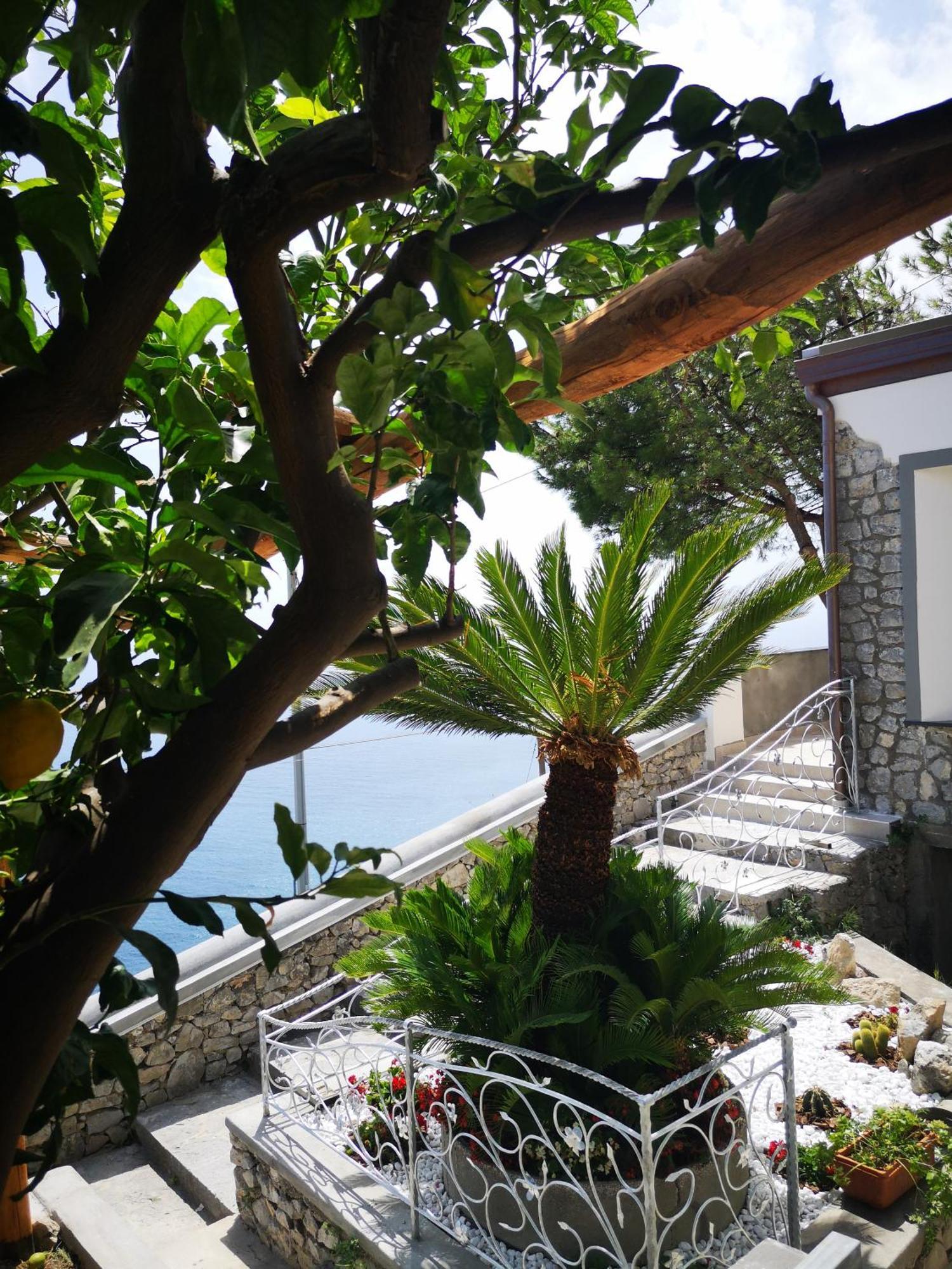 Villa Furoris Apartment Furore Extérieur photo